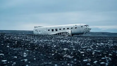 10 Concerning Questions About Pea Palmitoylethanol Unique