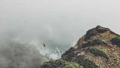 10 Effects And Side Effects Of Vitamin E 9 Contrai Unique