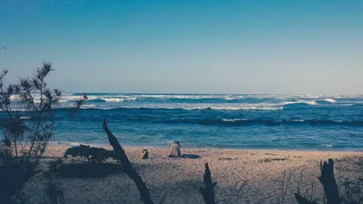 3 Benefits And Side Effects Of Lumbrokinase 2 Cont Unique