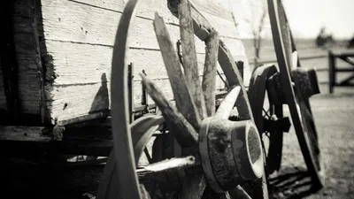 3 Kinds Of Health Foods That Are Good For Eyesight Unique