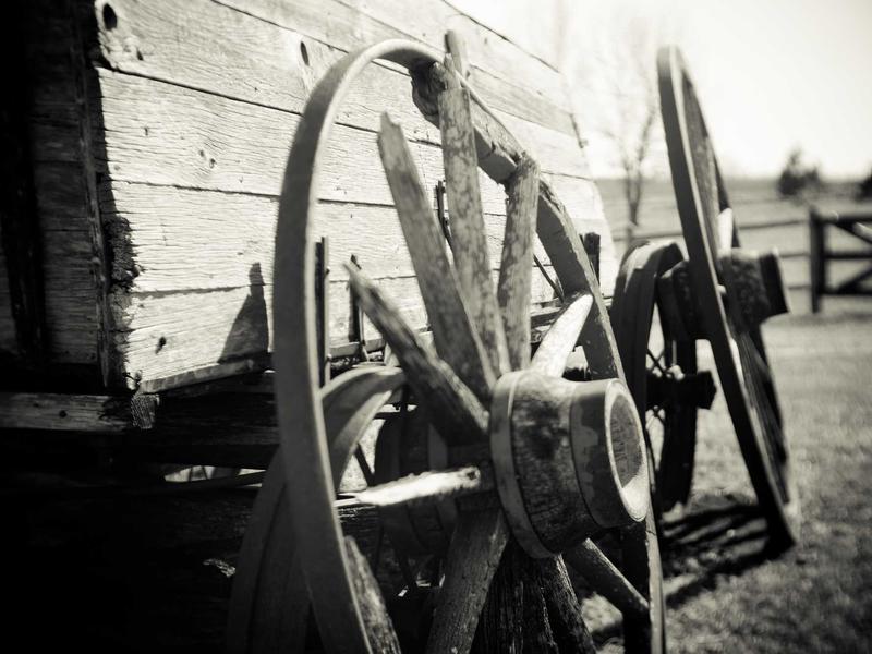 3 Kinds Of Health Foods That Are Good For Eyesight Unique