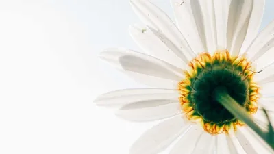 3 Kinds Of Health Foods To Relieve Premenstrual Sy Unique