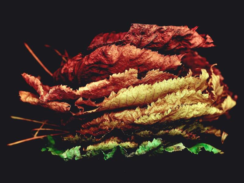 39 Kinds Of Effects And Side Effects Of Vitamin D Unique