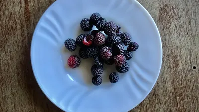 4 Benefits And Side Effects Of Acai Berries 4 Cont