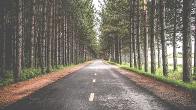 4 Benefits And Side Effects Of Fisetin 3 Contraind Unique