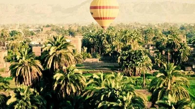 4 Benefits And Side Effects Of Niacinic Acid The S Unique