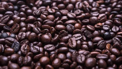 4 Benefits And Side Effects Of St Johns Wort 1st O Unique