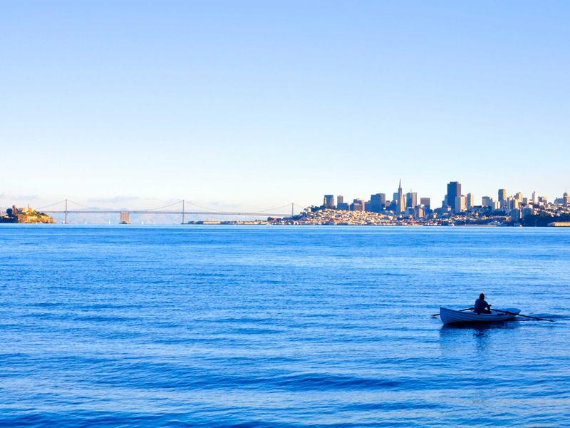 4 Empirical Effects And Side Effects Of Pumpkin Se Unique