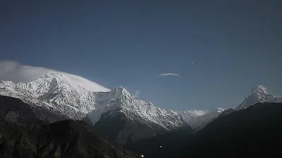 4 Kinds Of Health Foods Beneficial To Osteoporosis Unique