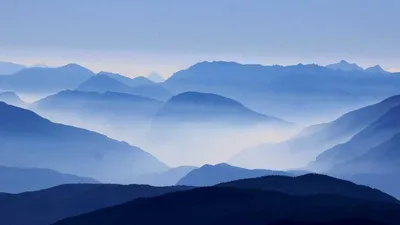 5 Alternative Therapies To Improve Insomnia The Fo Unique