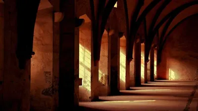 5 Benefits And Side Effects Of Ce B2 Glucan 5 Cont Unique