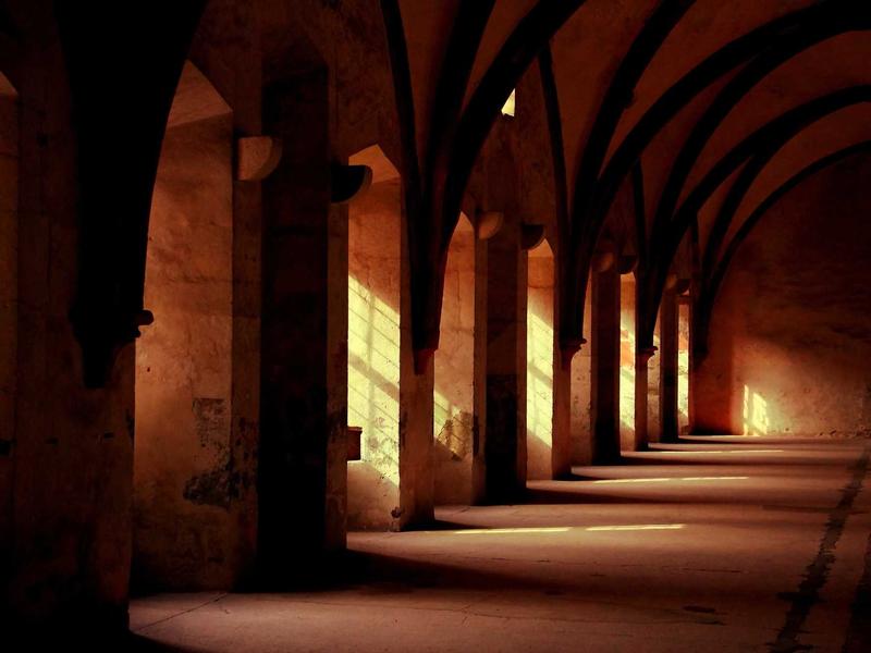 5 Benefits And Side Effects Of Ce B2 Glucan 5 Cont Unique