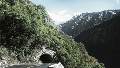 5 Benefits And Side Effects Of Glutathione 4 Contr Unique