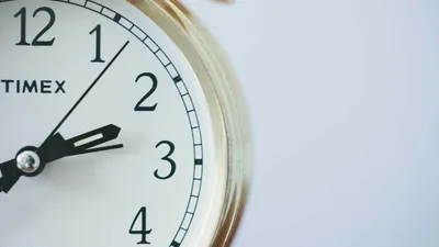 5 Benefits And Side Effects Of Polygonum Multiflor Unique