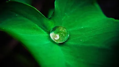 5 Benefits And Side Effects Of Taurine The Second Unique