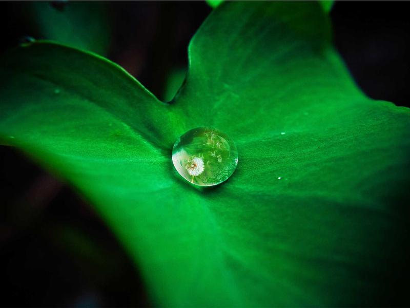 5 Benefits And Side Effects Of Taurine The Second Unique