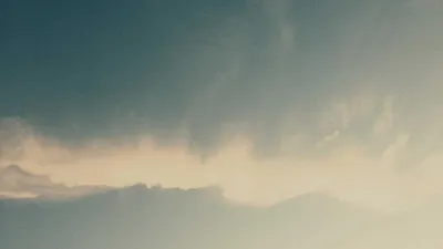 5 Kinds Of Effects And Side Effects Of Grape Seed Unique