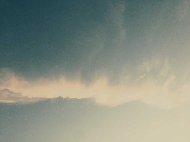 5 Kinds Of Effects And Side Effects Of Grape Seed Unique