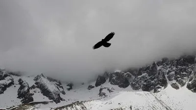 5 Kinds Of Effects And Side Effects Of Pomegranate Unique