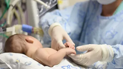 5 Kinds Of Effects And Side Effects Of Vitamin K 7