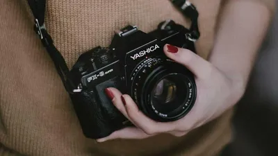 5 Kinds Of Efficacy And Side Effects Of Feverberry Unique