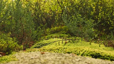 6 Complementary Therapies That Are Beneficial For Unique