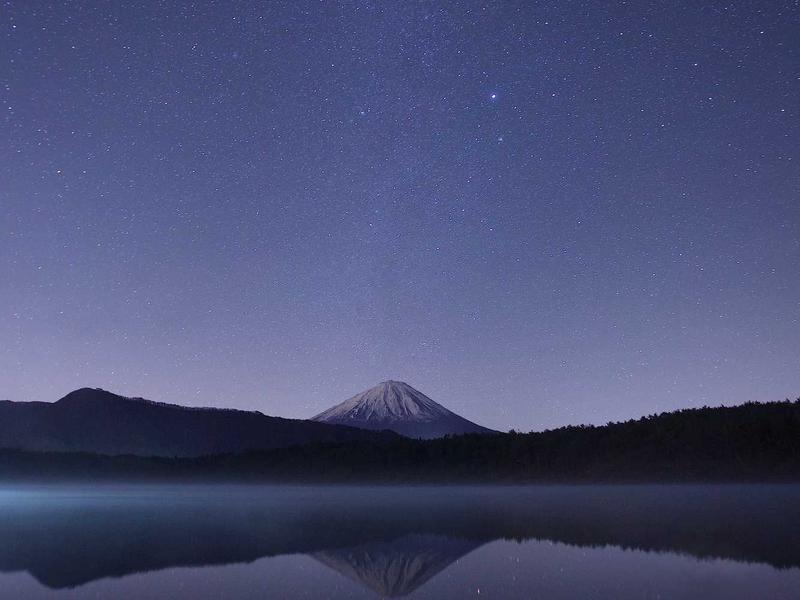 7 Benefits And Side Effects Of Collagen 2 Contrain Unique