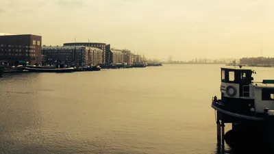 8 Questions About The Use Of Fucoidan Unique