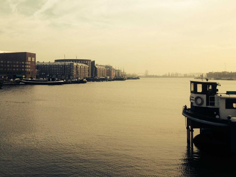 8 Questions About The Use Of Fucoidan Unique