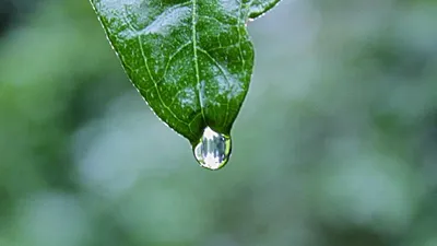 Diagnosis And Management Of Urinary Tract Infectio Unique