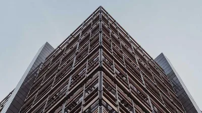 The Efficacy And Side Effects Of Holy Berry The Se Unique