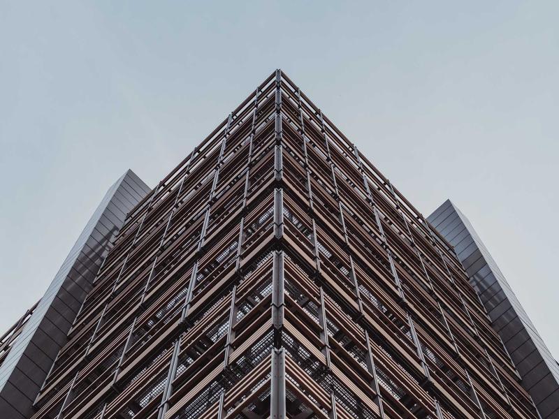 The Efficacy And Side Effects Of Holy Berry The Se Unique