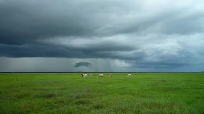 Welcome To Cob Foundation Unique