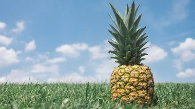 What Are The 2 Effects And Side Effects Of Non Den Unique